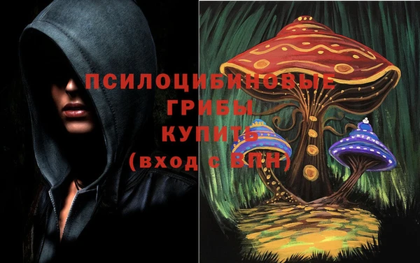 мет Сафоново