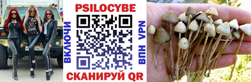 Галлюциногенные грибы мухоморы  где продают наркотики  Дивногорск 