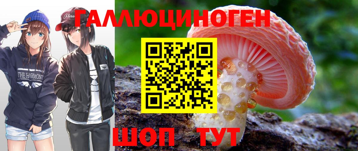 Дивногорск  Галлюциногенные грибы ЛСД  Вход с VPN  Псилоцибиновые грибы Cubensis 