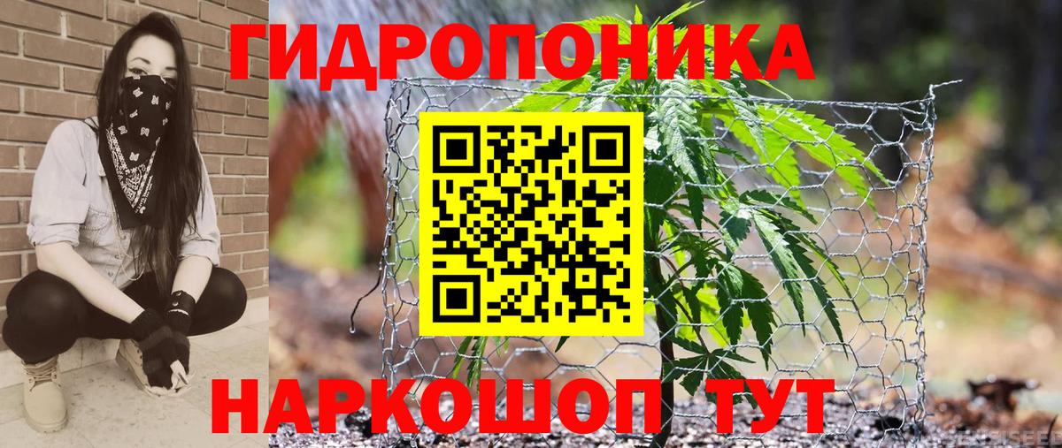 Бошки Шишки THC 21%  Бошки Шишки ГИДРОПОН  Дивногорск  Конопля Ganja  Вход с VPN 